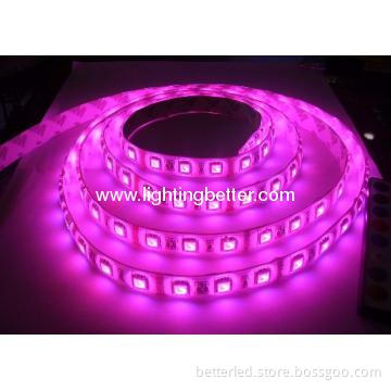 High quality hot sales pink color waterproof SMD3528 Led Strip